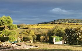 Studio spacieux, route des vins